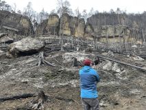 FOTOREPORTÁŽ: Obraz zkázy i obnovy. Národní park čtvrt roku po ničivém požáru