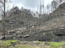 FOTOREPORTÁŽ: Obraz zkázy i obnovy. Národní park čtvrt roku po ničivém požáru