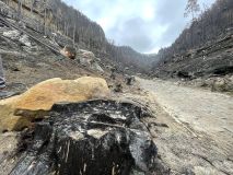 FOTOREPORTÁŽ: Obraz zkázy i obnovy. Národní park čtvrt roku po ničivém požáru