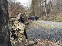 FOTOREPORTÁŽ: Obraz zkázy i obnovy. Národní park čtvrt roku po ničivém požáru