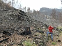 FOTOREPORTÁŽ: Obraz zkázy i obnovy. Národní park čtvrt roku po ničivém požáru