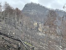 FOTOREPORTÁŽ: Obraz zkázy i obnovy. Národní park čtvrt roku po ničivém požáru