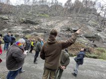 FOTOREPORTÁŽ: Obraz zkázy i obnovy. Národní park čtvrt roku po ničivém požáru