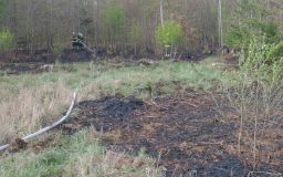 OBRAZEM: Deset jednotek hasičů vyjíždělo k požáru lesního porostu