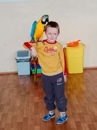 OBRAZEM: Děti z Petrohradu měly nevšední zážitek. Na přednášce o ptácích se mohly vyfotit s exotickým papouškem