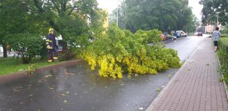 OBRAZEM: Večerní bouře na Žatecku lámala stromy a zatopila sklepy. Hasiči měli krušnou noc