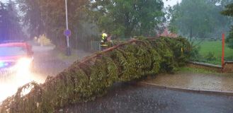 OBRAZEM: Večerní bouře na Žatecku lámala stromy a zatopila sklepy. Hasiči měli krušnou noc