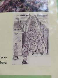TIP NA VÝLET: Schodům hrůzy v Jáchymově říkali trestanci Mauthausenské. Pro většinu totiž znamenaly smrt