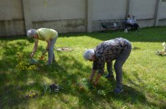 Posejpka v muzeu již podruhé, návštěvníci tvořili z květů různé obrazce