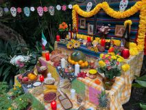 Veselý Den mrtvých ve skleníku! Takhle vypadá mexický svátek v botanické zahradě