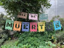 Veselý Den mrtvých ve skleníku! Takhle vypadá mexický svátek v botanické zahradě