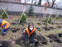 OBRAZEM: Studenti ze Žatce z oboru Agropodnikání pomohli s výsadbou zeleně