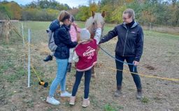 FOTO: Králíci, drůbež nebo exotické ptactvo. Ve Staňkovicích vystavovali chovatelé drobné zvířectvo