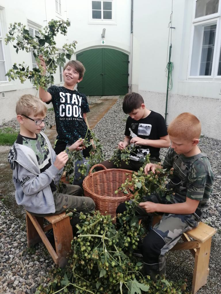 Projektový týden Žatec a krajina žateckého chmele 2021 20 903e6