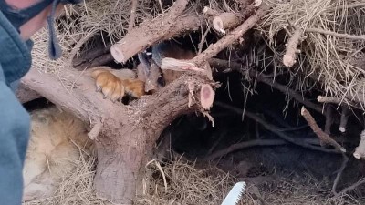 Foto: HZS Ústeckého kraje
