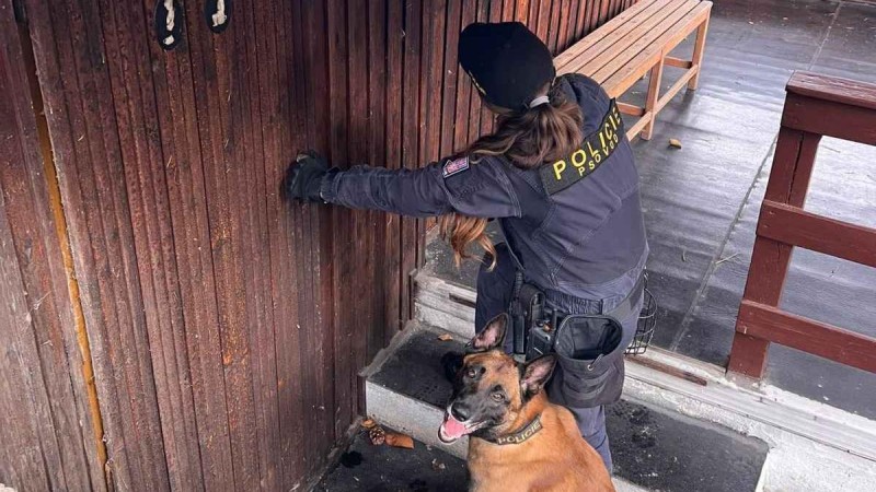 Foto: Policie ČR