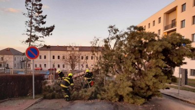 V Lounech spadl na silnici strom. Hasiči zasahovali po celém kraji