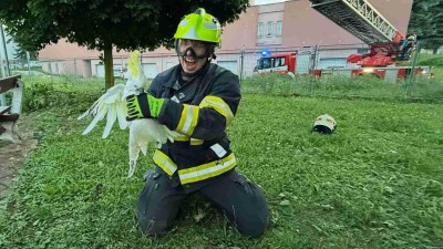 Foto: HZS Ústeckého kraje