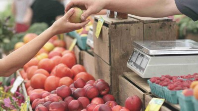 Týden v Žatci: Vzpomínka na letce, Farmářské trhy, Dny evropského dědictví