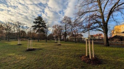 Pro leto&scaron;n&iacute; rok maj&iacute; Louny vysazeno a jsou zase o něco zeleněj&scaron;&iacute;