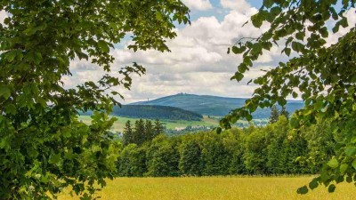 Hovězí skály, Najštejnské bučiny, Buky na Bouřňáku a Pekelské údolí. Ústecký kraj má čtyři nové přírodní památky