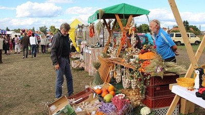 Již zítra! V Račeticích se konají oblíbené Slavnosti cibule, přinášíme kompletní program