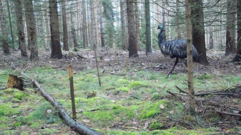 Foto: Národní park České Švýcarsko