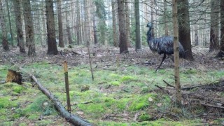 Foto: Národní park České Švýcarsko