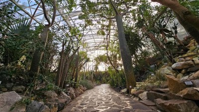 Tip na v&yacute;let: Za exotikou i zimn&iacute;mi květy do teplick&eacute; botanick&eacute; zahrady