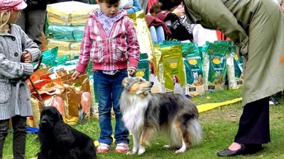 Výstaviště v Lounech bude o víkendu patřit expozicím Člověk v přírodě a Řemesla a kreativita