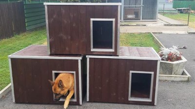 Do psího útulku přibyly tři nové boudy už v září. Také díky dárcům. Foto: archiv / MP Litvínov
