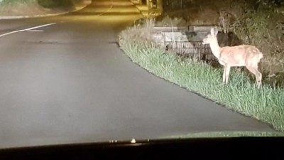 Ilustrační foto: redakce