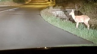 Ilustrační foto: redakce