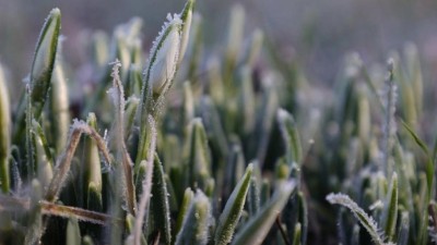 VÝSTRAHA: Opět přijdou mrazy, varují meteorologové. Teplota klesne až k minus čtyřem stupňům