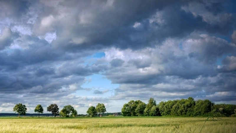 Ilustrační foto: Pixabay / CC0