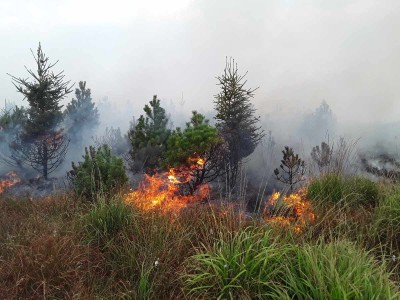 FOTO AKTUÁLNĚ: V Krušných horách hoří rašelinové pole, hasiči mají druhý stupeň poplachu