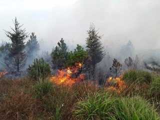 Požár v Krušných horách. Foto: HZS Ústeckého kraje
