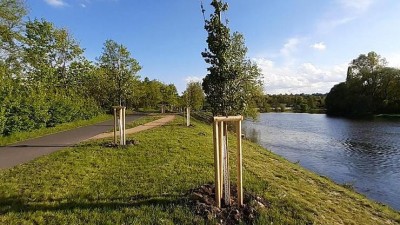 Desítky stromů, nové záhony i louky. Žatec bude ještě zelenější