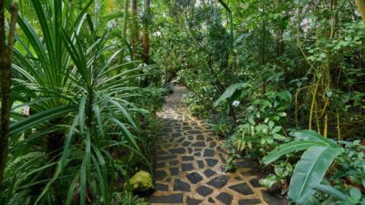 Foto: Botanick&aacute; zahrada Teplice