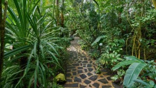 Foto: Botanick&aacute; zahrada Teplice