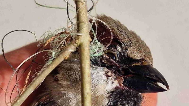 Foto: Z&aacute;chrann&aacute; stanice Falco