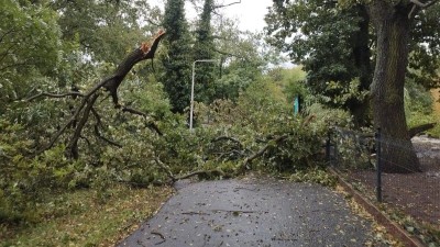 Zoopark otevře své brány až v poledne. Pracovníci odstraňují následky vichru