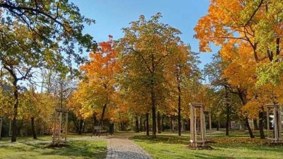 Louny vysadí novou zeleň