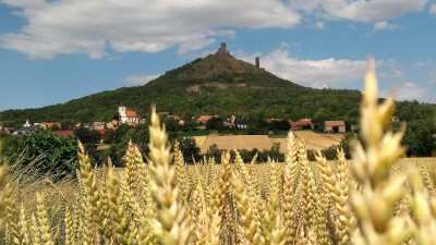 CHYSTÁ SE: Mé toulky přírodou zachycuji na mobil, říká autorka fotografií Jitka Pazderová. Výstava ukazující krásy Českého středohoří začne 4. března