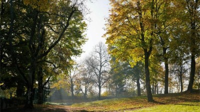 Skoro jsme se dočkali tropického dne, rozhodlo 0,2 °C. Vítr měl až přes 90 km/h