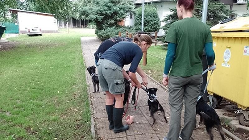 Foto: MP Ústí nad Labem