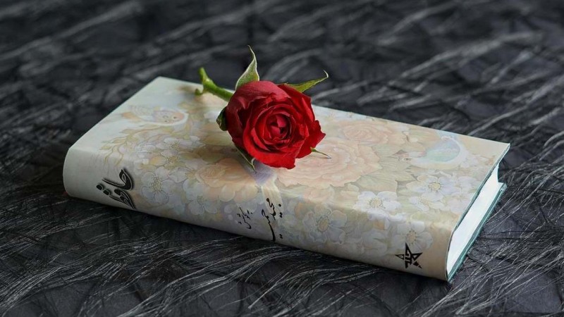 Ilustrační foto: Pixabay / CC0