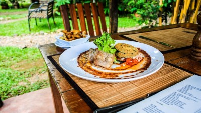 Obědová menu zdražila o 50 %, v krajích víc než v Praze. Lidé si budou víc připravovat jídlo do práce už doma, hrozí krach 15 % restaurací