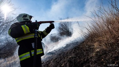 AKTUÁLNĚ: U Petrohradu hoří les. Hasiči bojují s plameny v těžko přístupném terénu