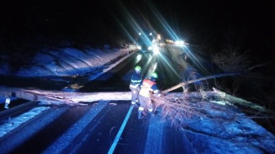 V noci opět řádil silný vítr, hasiči v kraji vyjížděli k několika popadaným stromům